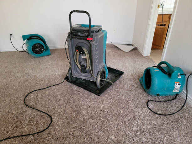 Best Flood damage cleanup  in Weigelstown, PA