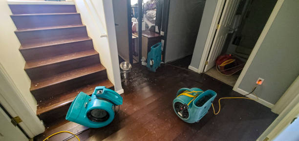 Best Local water damage restoration  in Weigelstown, PA