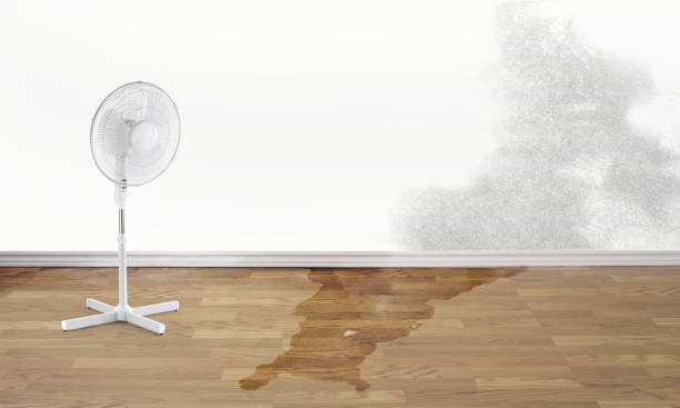 Best Carpet water damage restoration  in Weigelstown, PA