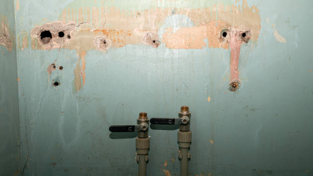Best Water damage restoration near me  in Weigelstown, PA