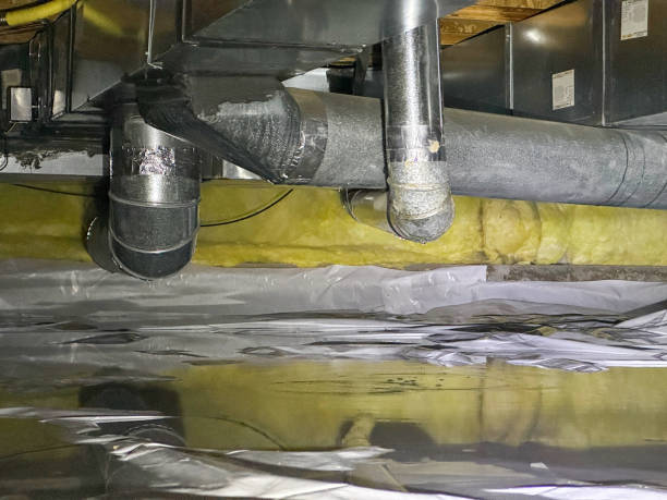 Best Professional water damage repair  in Weigelstown, PA