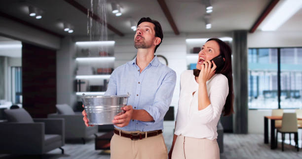 Best Water damage restoration company  in Weigelstown, PA